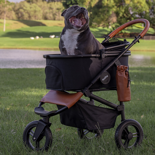 Fur King Jogger Dog Pram